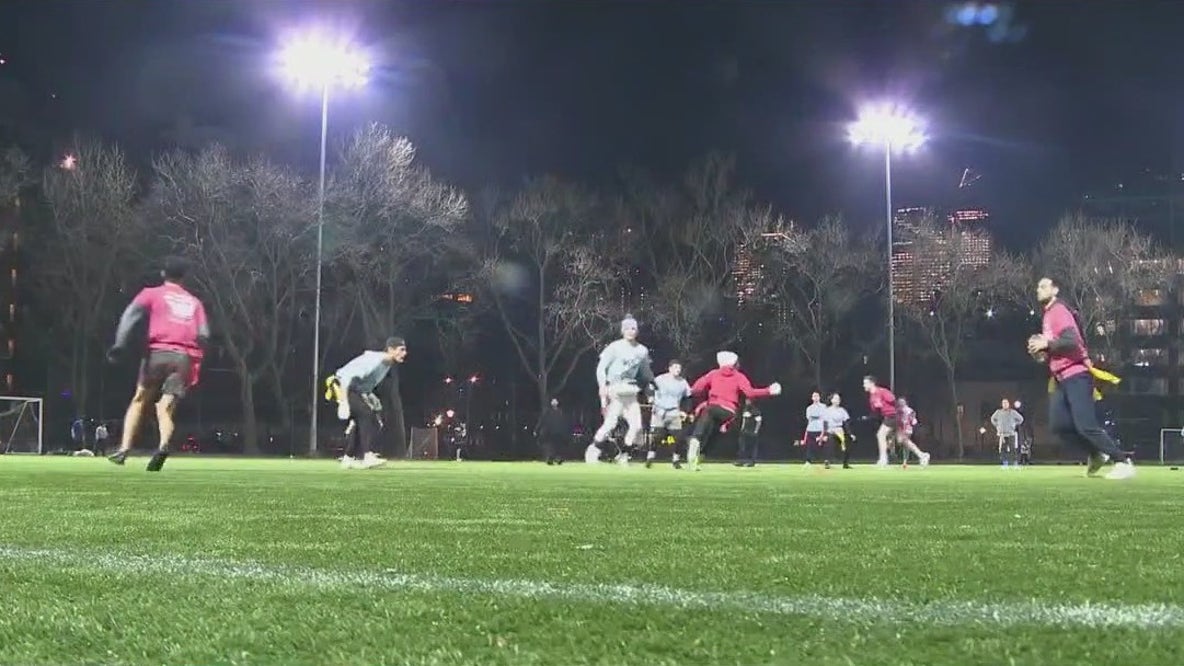 Bill seeks to remove artificial grass from parks